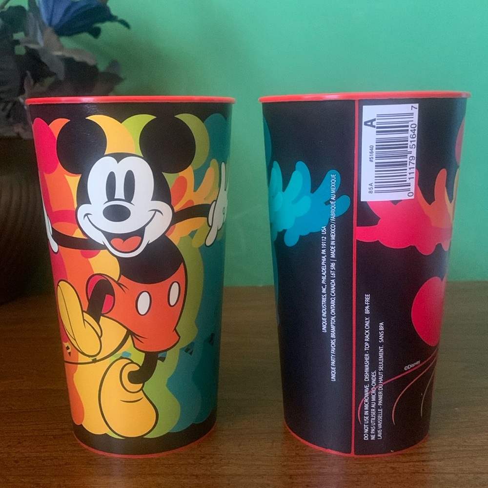 NWT Mickey Mouse Rainbow 22oz Cup Set
